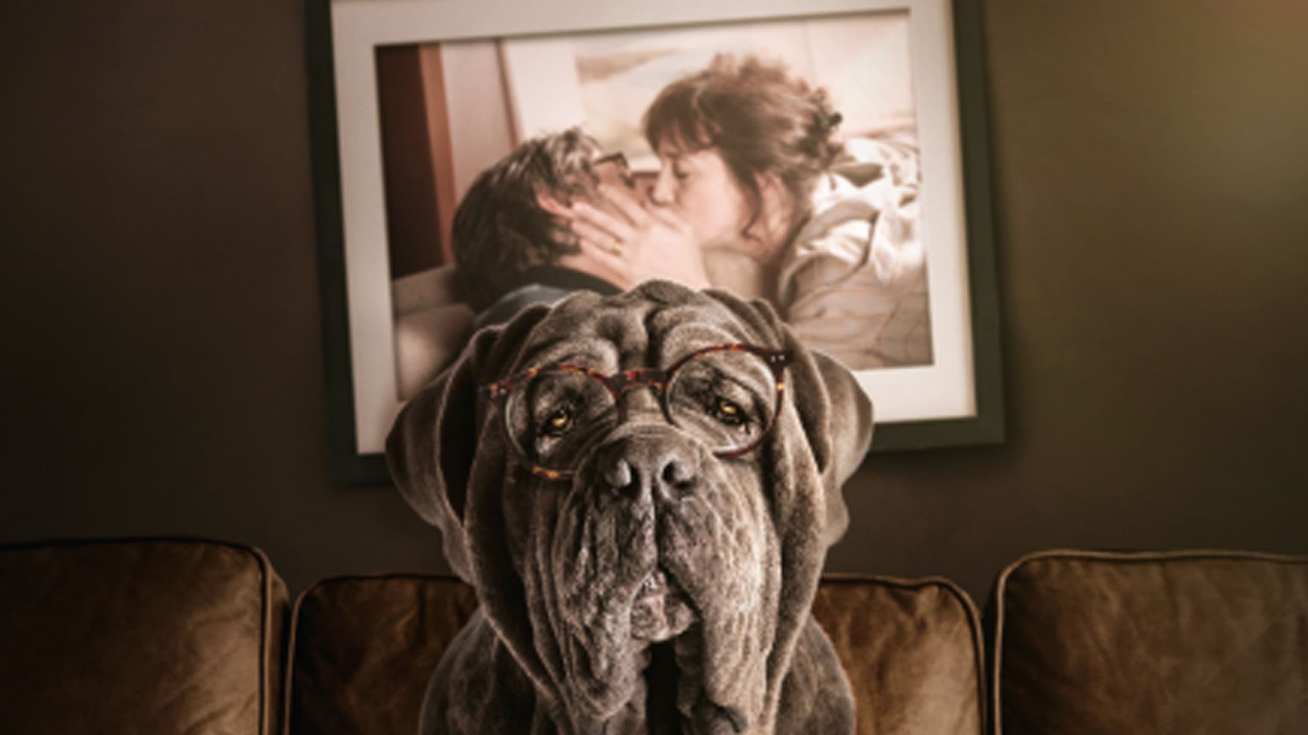 Пока собака. Мой пёс руни 2023. Мой пёс руни 2023. Демотиваторы злые. Привет собака.